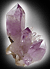 Quartz var. Amethyst from Las Vigas, Veracruz, Mexico