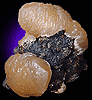 Calcite on Sphalerite with Chalcopyrite from Tri-State Mining District, Joplin, Missouri