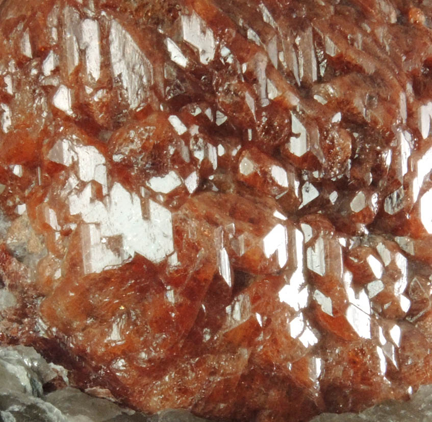 Detail view of mineral Almandine Garnet in Muscovite-Quartz matrix for sale from excavation for bank on South Street in lower Manhattan Island, New York City, New York County, New York