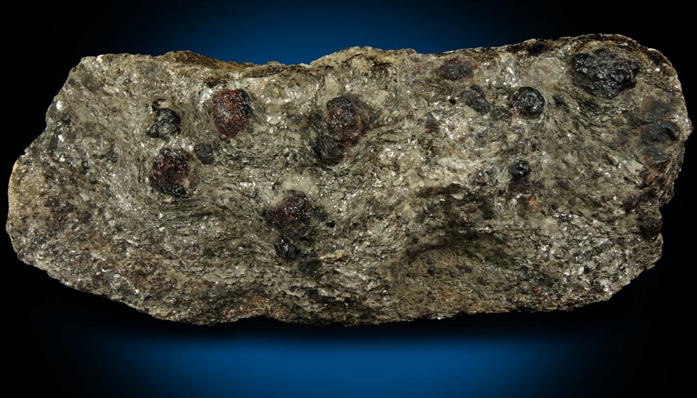 Mineral Almandine Garnet in schist for sale from near the Spuyten Duyvil, northern Manhattan Island, New York City, New York County, New York