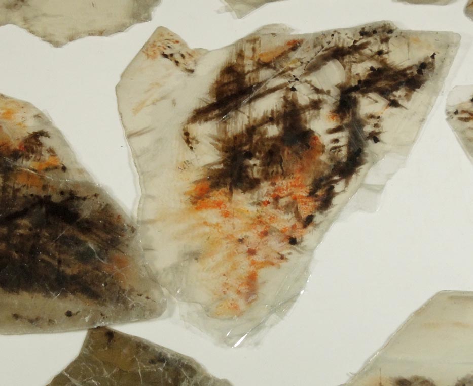 Detail view of mineral Muscovite with oriented magnetite, rutile, hematite inclusions for sale from 93rd Street at Riverside Drive, Manhattan Island, New York City, New York County, New York