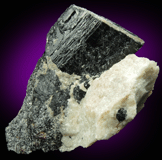 Schorl Tourmaline for sale from Harlem Meer, in the northeast corner of Central Park, New York City, New York County, New York