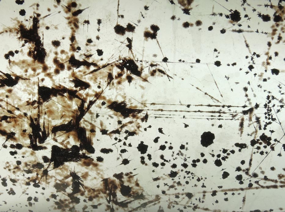 Detail view of mineral Muscovite with oriented magnetite, rutile, hematite inclusions for sale from 93rd Street at Riverside Drive, Manhattan Island, New York City, New York County, New York