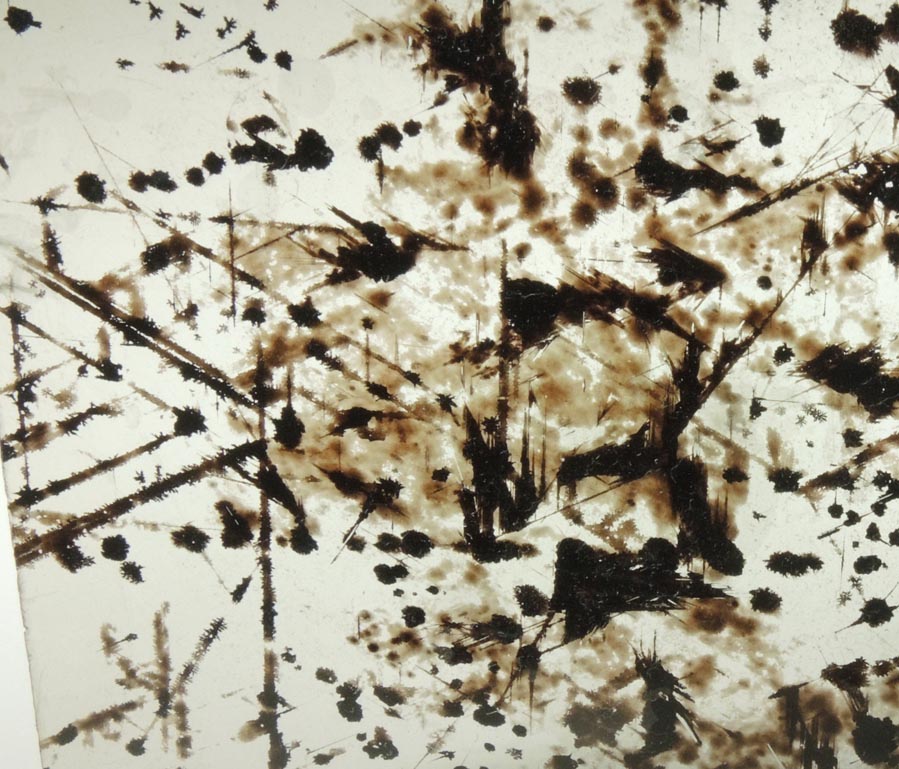 Detail view of mineral Muscovite with oriented magnetite, rutile, hematite inclusions for sale from 93rd Street at Riverside Drive, Manhattan Island, New York City, New York County, New York