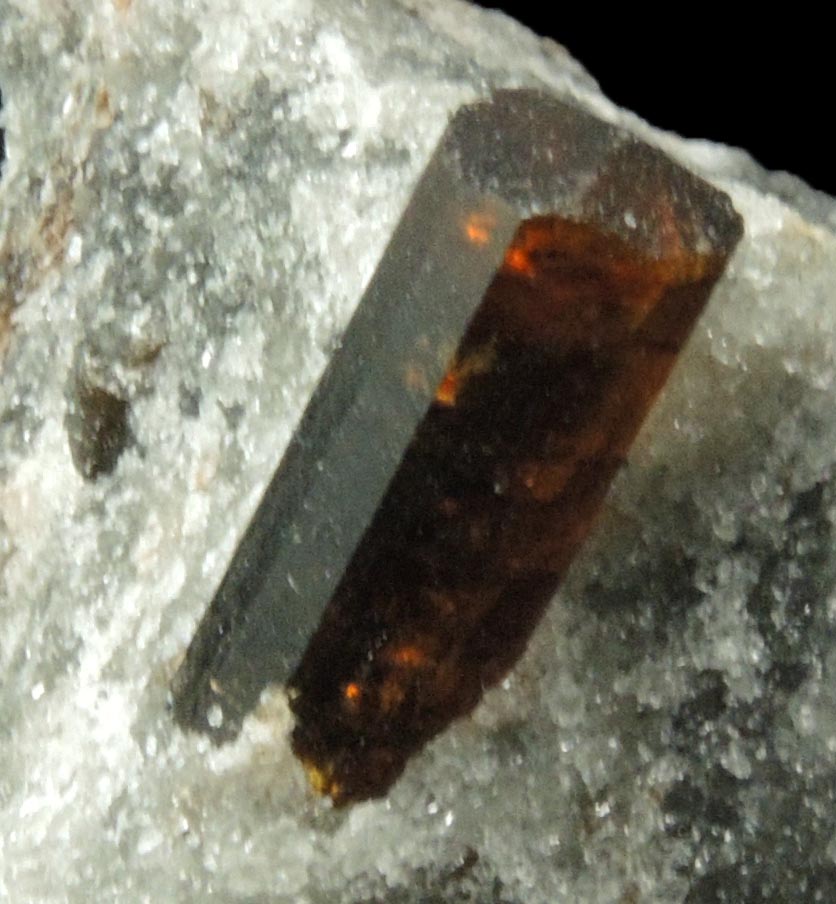 Detail view of mineral Dravite-Uvite Tourmaline in Inwood Marble (best of find) for sale from Harlem Ship Canal excavation, norther Manhattan Island, New York City, New York County, New York