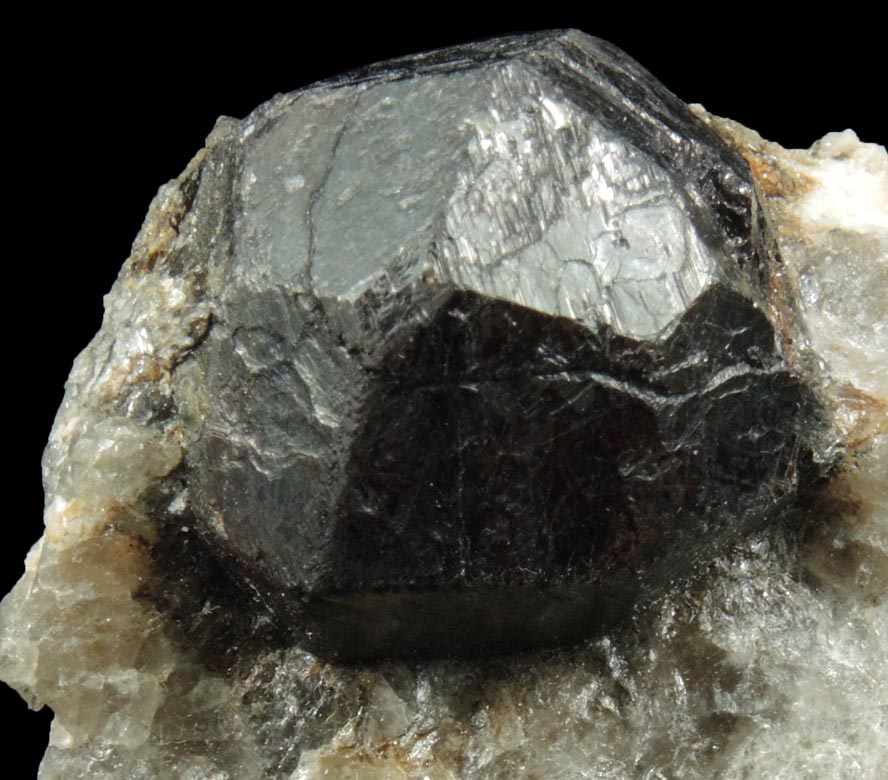 Detail view of mineral Almandine Garnet for sale from Manhattan Island, New York City, New York County, New York