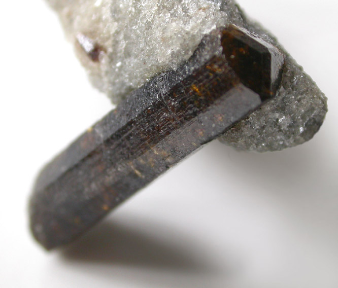 Dravite-Uvite tourmaline 22 mm long in Inwood Marble 