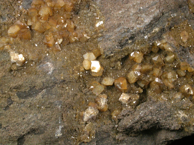 Fluorapatite and garnet from Aqueduct Shaft #26, 180th St. and 10th Ave, Manhattan 