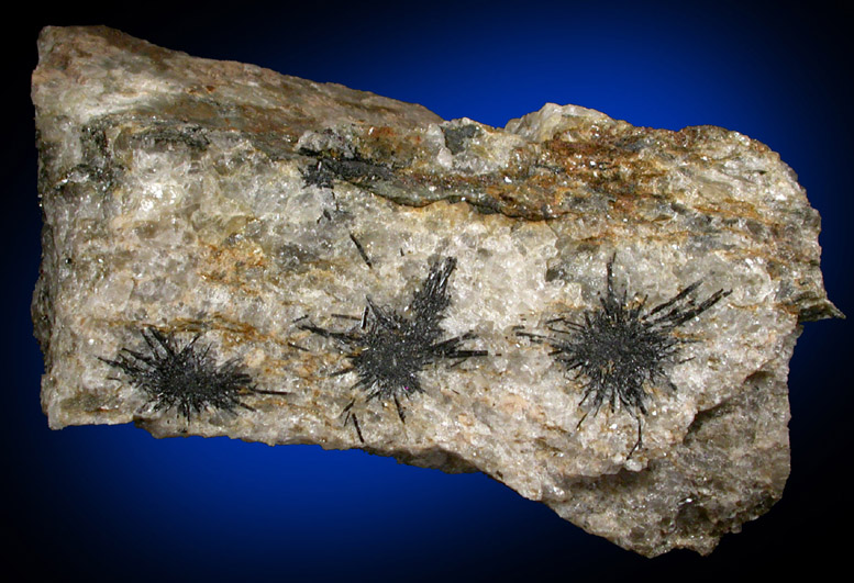 Radiating crystal groups of schorl tourmaline on quartz from 170th St. and Amsterdam Ave. Manhattan, NY 