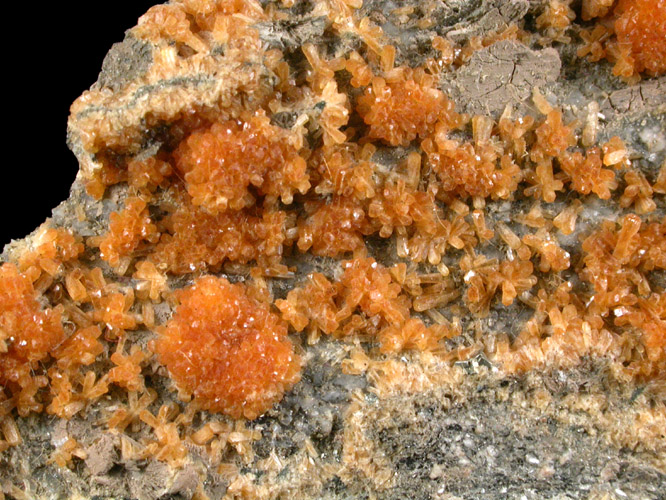 Stilbite crystals to 4 mm long from 92nd Street at Lexington Ave. Manhattan 