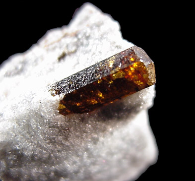 Mineral Specimens: Uvite / Dravite Tourmaline, rare terminated crystal from Inwood Hill Park, Manhattan Island, New York City, New York