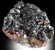Pedigreed Minerals